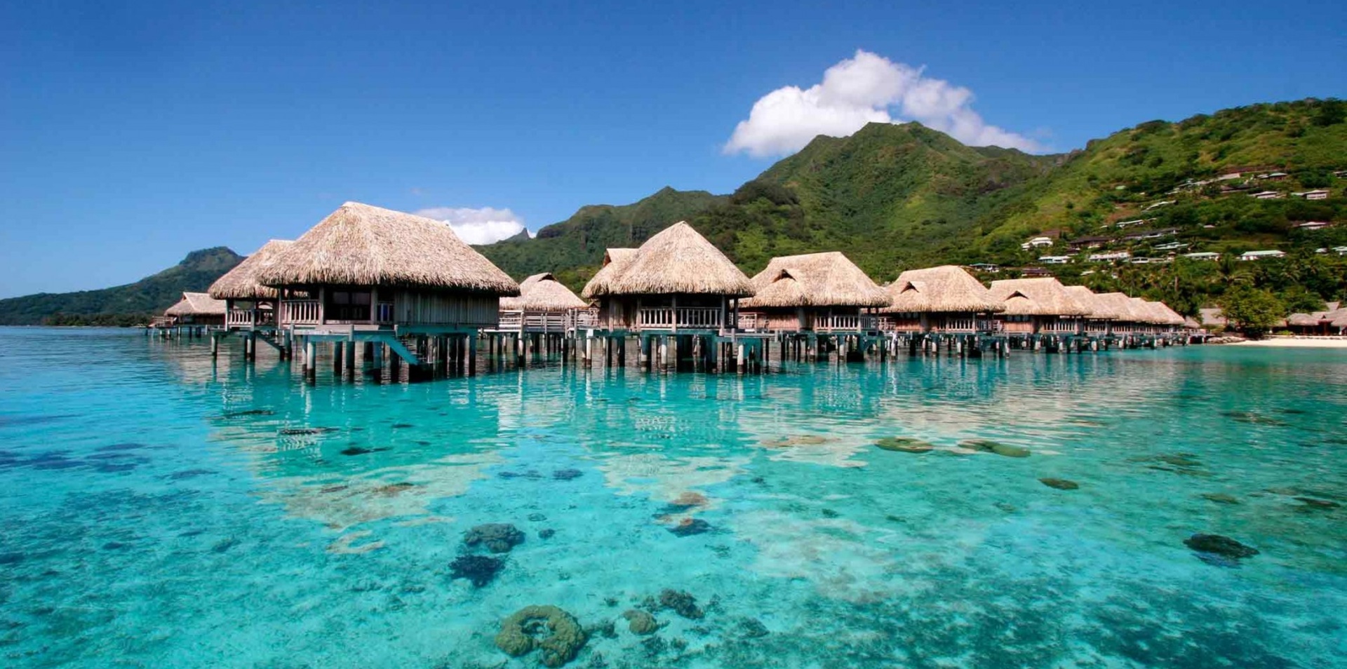 Moorea and Tahiti Island Reset